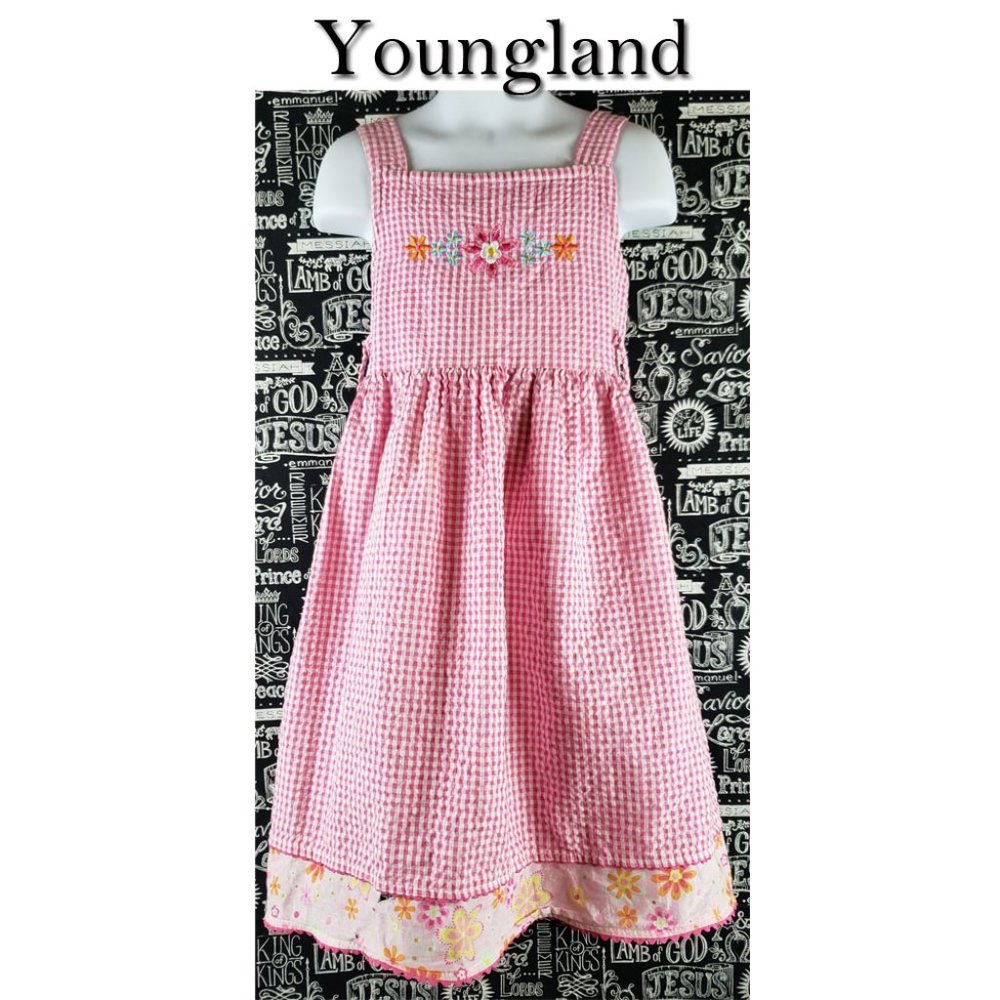 Youngland Gingham Dress Size 6X🤩